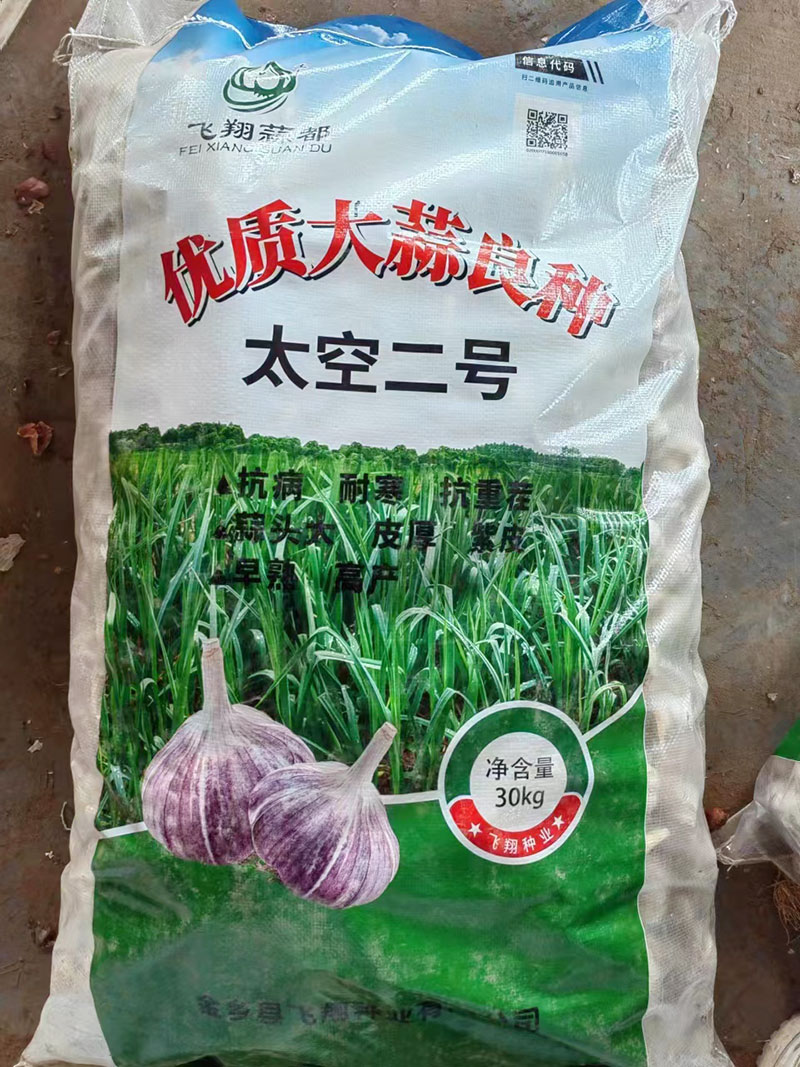 大蒜種子批發價格